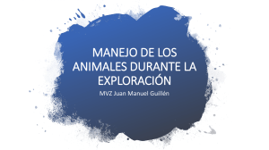 Manejo de Animales en la Exploración: Técnicas y Seguridad