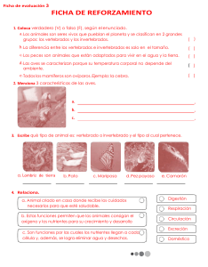 Ficha de Reforzamiento: Vertebrados e Invertebrados