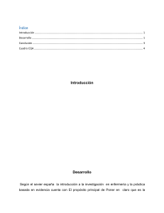 Investigación en Enfermería: Práctica Basada en Evidencia