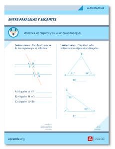 Ángulos entre paralelas y secantes: Ejercicios de matemáticas