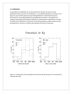Porosidad y Propiedades Hídricas de Travertinos y Morteros
