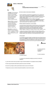 Prehistoria: Hoja de Trabajo de Tecnología y Estilo de Vida Paleolítico