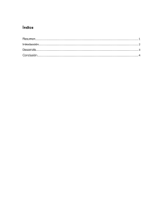 Informe sobre Organización Industrial: Unitek S.A.