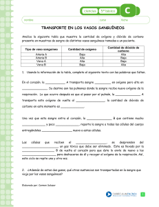 Transporte en Vasos Sanguíneos: Hoja de Trabajo de Ciencias