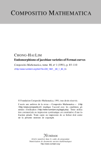Endomorphisms of Jacobian Varieties of Fermat Curves