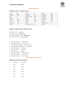 English Grammar Practice: Pronouns, Nouns, Verbs
