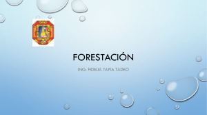 Forestación: Plantaciones, Agroforestería y Manejo Forestal