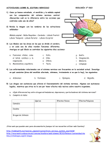Sistema Nervioso: Actividades Biología 3º ESO