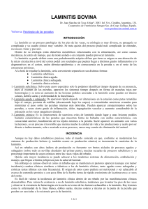 Laminitis Bovina: Causas, Tipos y Tratamiento