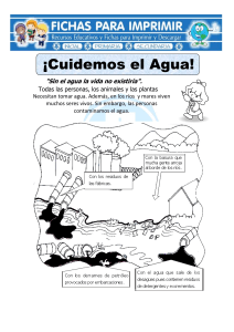 El Agua y la Contaminación: Hoja de Trabajo para Primaria
