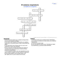 Crucigrama del Sistema Respiratorio