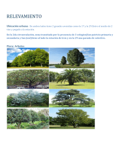 Relevamiento Urbano: Ubicación, Flora y Contexto Edilicio