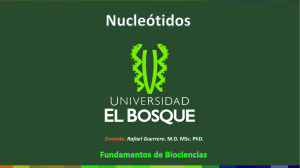 Síntesis y Catabolismo de Purinas y Pirimidinas
