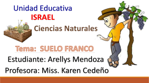 Suelo Franco: Características y Formación