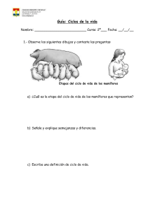 Ciclos de Vida: Mamíferos y Anfibios - Guía de Estudio