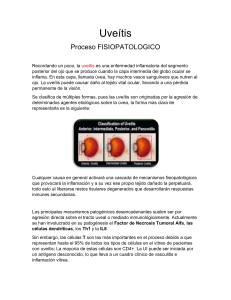Uveítis: Fisiopatología, Causas y Mecanismos Inflamatorios