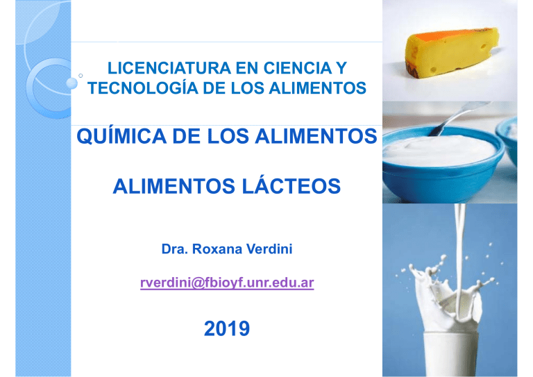 QA 2019 LACTEOS