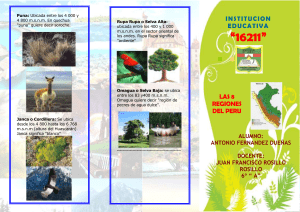 Las 8 Regiones Naturales del Perú: Guía Educativa