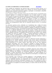 Glándulas endocrinas: Descripción general y glándula tiroides