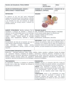 Carbunco (Ántrax): Definición, Síntomas y Tratamiento
