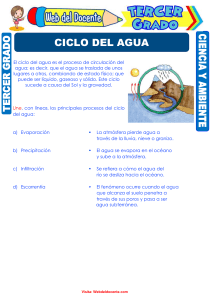 Ciclo del Agua: Hoja de Trabajo para Primaria