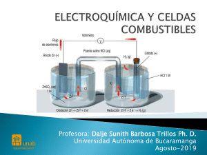 Electroquímica y Celdas de Combustible: Presentación