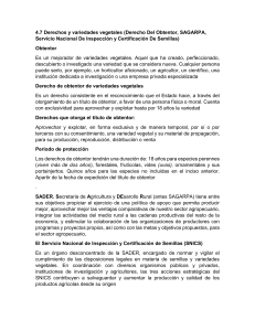 Derechos y Variedades Vegetales en México
