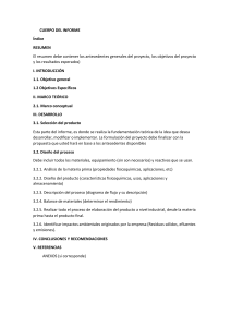 Estructura de Informe de Proyecto Industrial