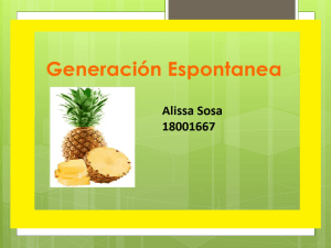Generación Espontánea: Teoría Biológica y Experimentos