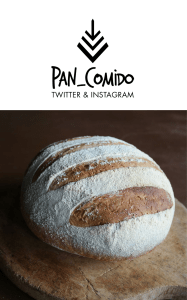 Introducción Panarra - Bases para quienes inician en panadería - Pan Comido
