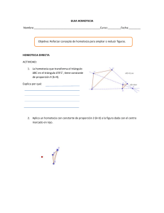 Guía de Homotecia: Ejercicios de Matemáticas