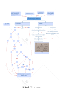 Preparación de Muestras de Materiales Térreos: Diagrama de Flujo