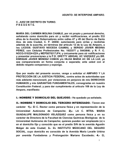 AMPARO MA. DEL C.  MOLINA CHABLE C-JUNTA LOCAL DE CONCILIACIÓN Y ARBITRAJE.