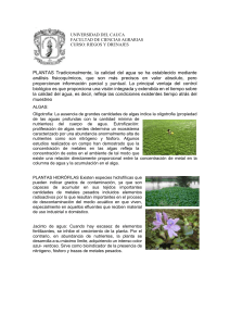 Calidad del Agua y Bioindicadores: Apuntes de Riegos y Drenajes