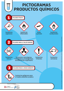 Pictogramas de Seguridad: Productos Químicos y Riesgos