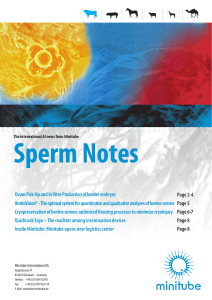 Bovine Embryo Production: OPU-IVP Techniques & Advantages