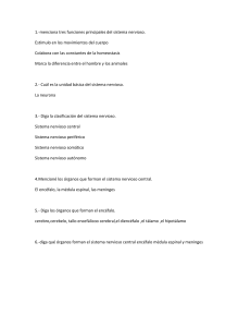 Sistema Nervioso: Preguntas de Examen y Respuestas