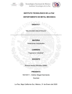 Relaciones Industriales: Ensayo Académico