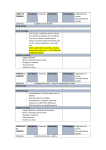 Plan de Lecciones de Educación Física - Febrero
