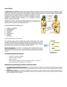Sistema Endocrino: Taller sobre Hormonas y Glándulas