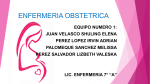 Enfermería Obstétrica: Ciclo Ovárico y Desarrollo Ovario