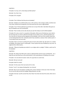 The Little Prince Excerpt: Baobabs & Sunsets