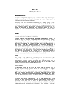 Uveítis: Inflamación del Tracto Uveal - Información Médica