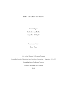 Calidad en Proyectos: Expectativa vs. Realidad - Ensayo