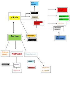 Mapa Conceptual: Célula y Seres Vivos