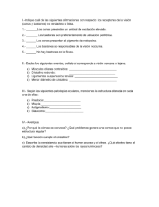 Anatomía y Fisiología del Ojo: Cuestionario de Biología