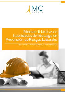 Habilidades de Liderazgo en Prevención de Riesgos