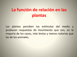 Función de Relación en Plantas: Tropismos y Nastias