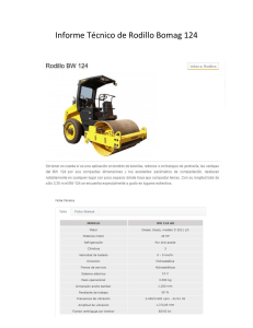 Informe Técnico Rodillo Bomag 124: Vibración y Compactación