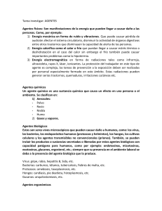 Agentes de Riesgo: Físicos, Químicos, Biológicos y Ergonómicos